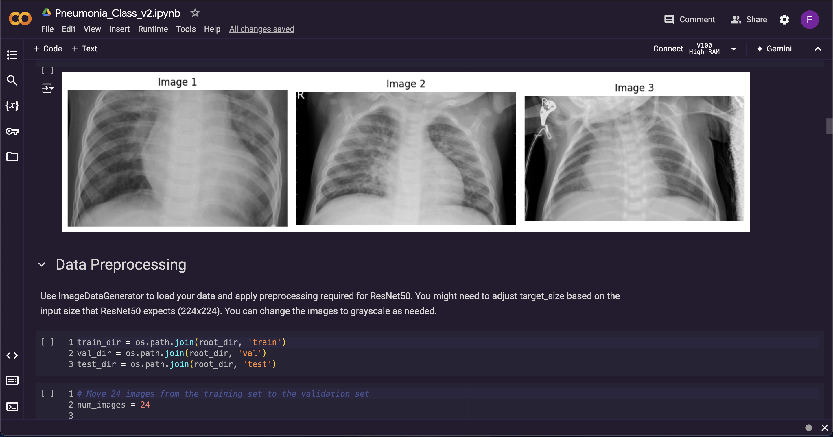 Image thumbnail showing a screenshot of the code notebook